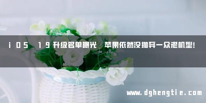 iOS 19升级名单曝光 苹果依然没抛弃一众老机型！